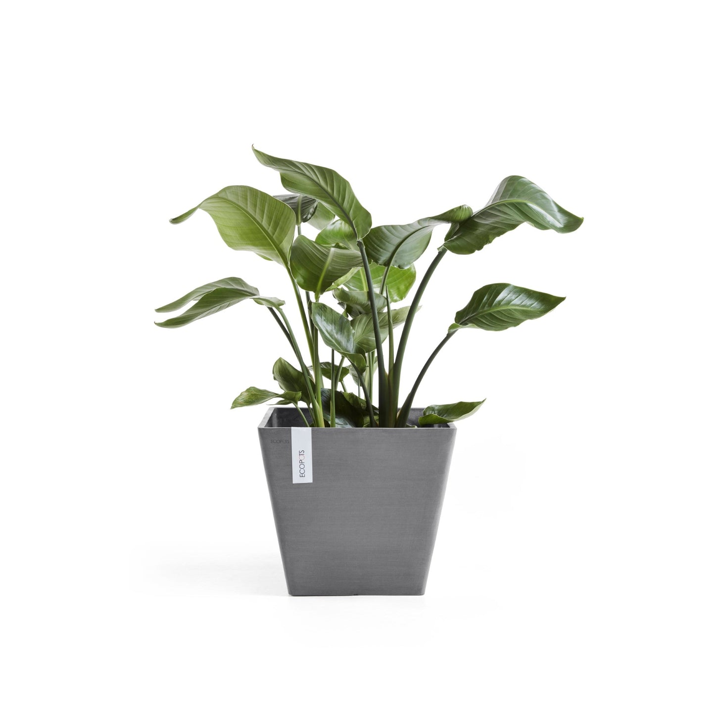 Kukkaruukku - Ecopots - Rotterdam 50cm harmaa - Ecopotskauppa - Uuden aikakauden kukkaruukku