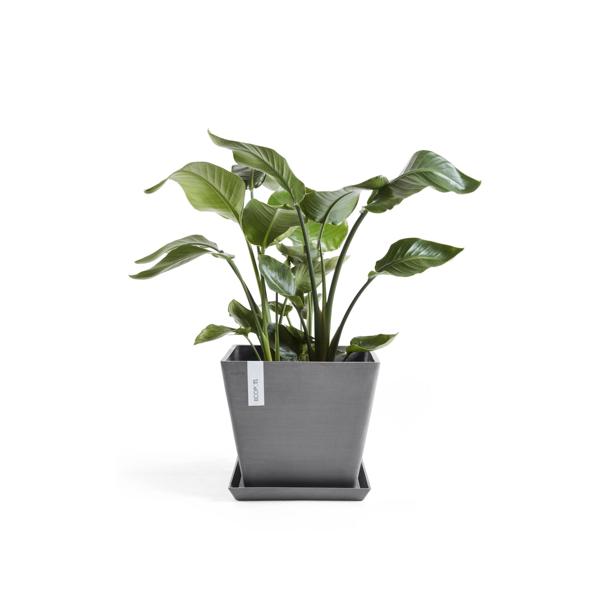 Kukkaruukku - Ecopots - Rotterdam 50cm harmaa - Ecopotskauppa - Uuden aikakauden kukkaruukku