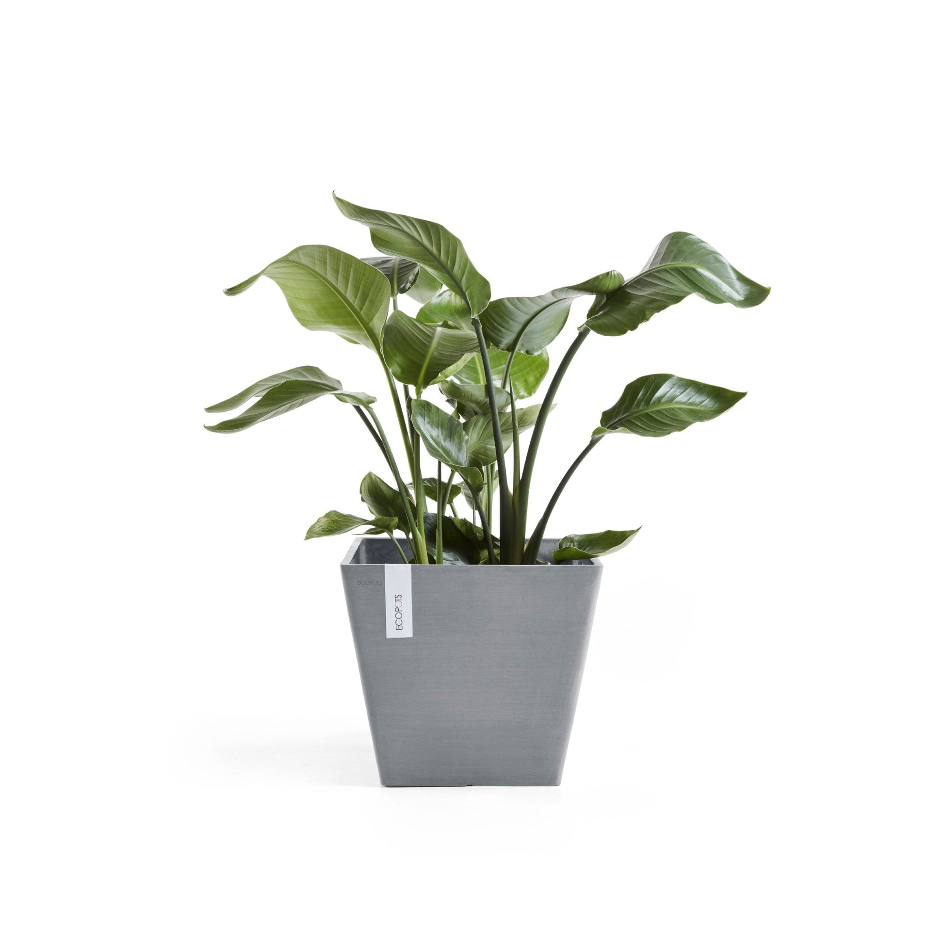 Kukkaruukku - Ecopots - Rotterdam 50cm siniharmaa - Ecopotskauppa - Uuden aikakauden kukkaruukku