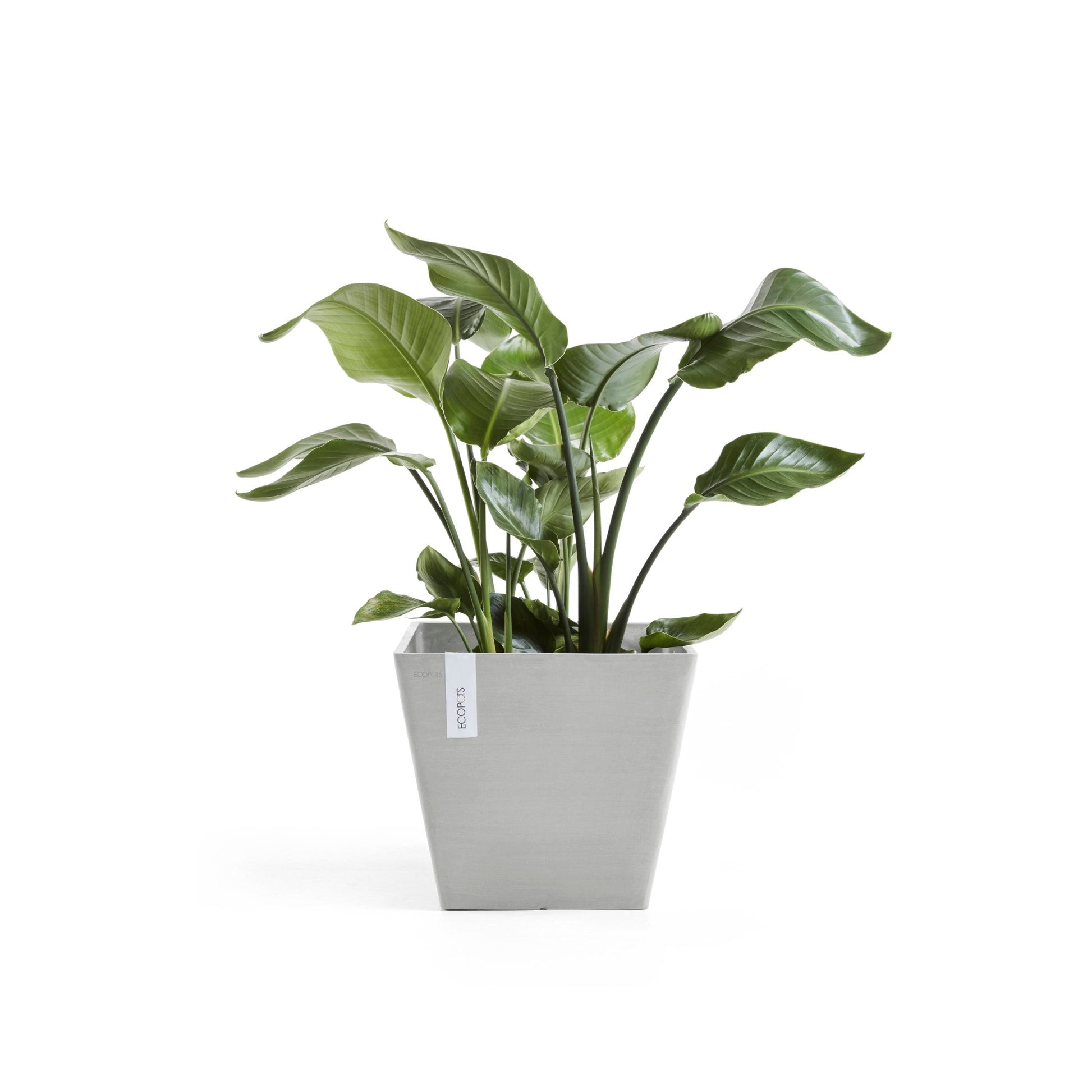 Kukkaruukku - Ecopots - Rotterdam 50cm valkoharmaa - Ecopotskauppa - Uuden aikakauden kukkaruukku