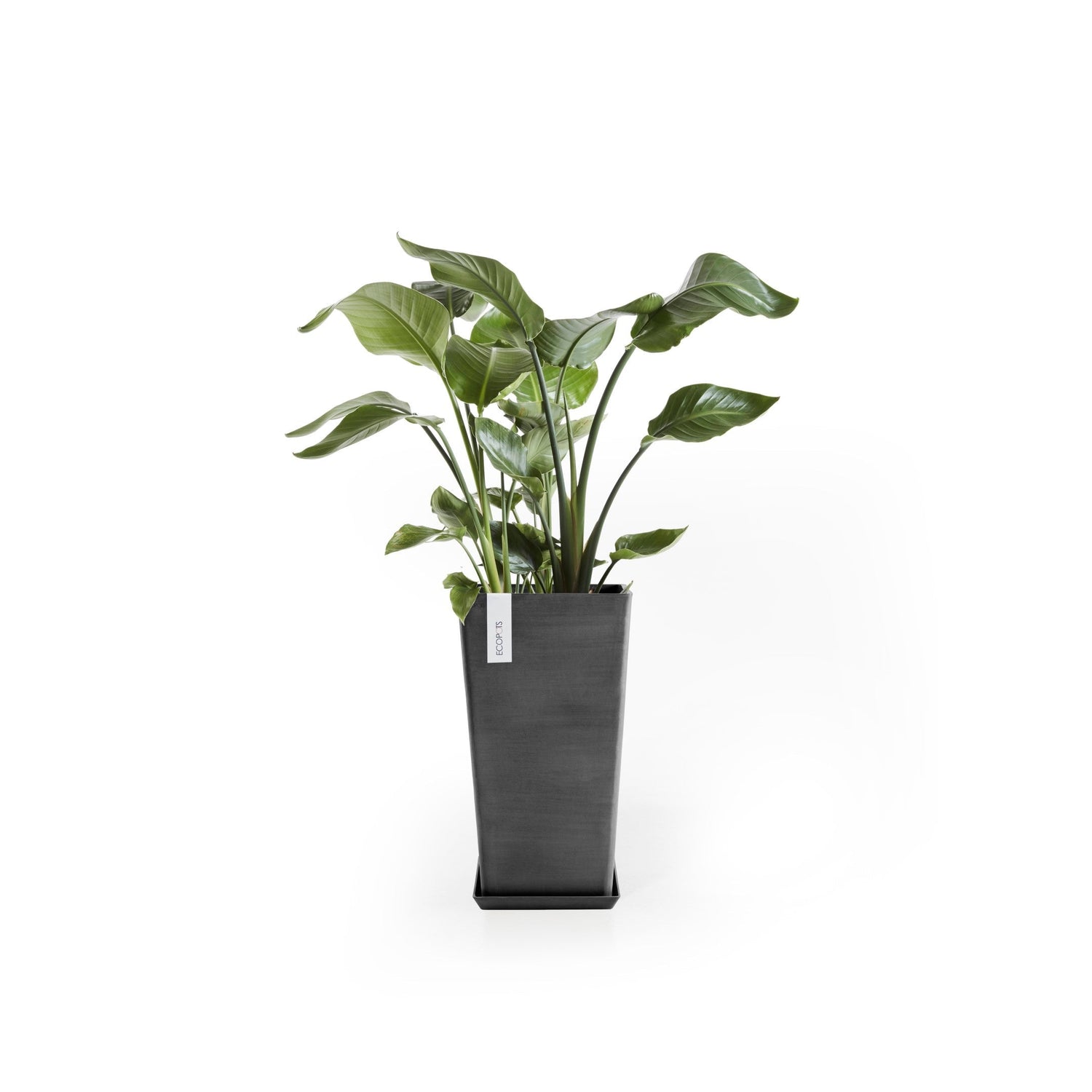 Kukkaruukku - Ecopots - Rotterdam keskikorkea 56cm tummanharmaa - Ecopotskauppa - Uuden aikakauden kukkaruukku