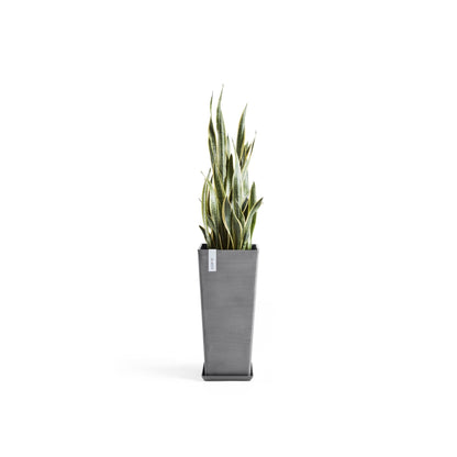 Kukkaruukku - Ecopots - Rotterdam korkea 70cm harmaa - Ecopotskauppa - Uuden aikakauden kukkaruukku