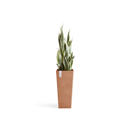 Kukkaruukku - Ecopots - Rotterdam korkea 70cm terracotta - Ecopotskauppa - Uuden aikakauden kukkaruukku