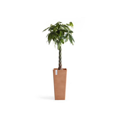Kukkaruukku - Ecopots - Rotterdam korkea 70cm terracotta - Ecopotskauppa - Uuden aikakauden kukkaruukku
