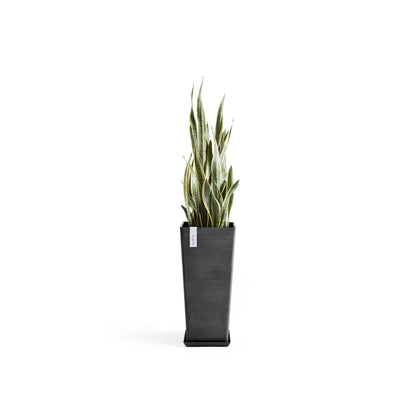 Kukkaruukku - Ecopots - Rotterdam korkea 70cm tummanharmaa - Ecopotskauppa - Uuden aikakauden kukkaruukku