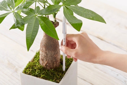 Kukkaruukku - Ecopots - Ruukun kosteustason mittaaja 12cm - Ecopots - Uuden aikakauden kukkaruukku kierrätysmateriaalista