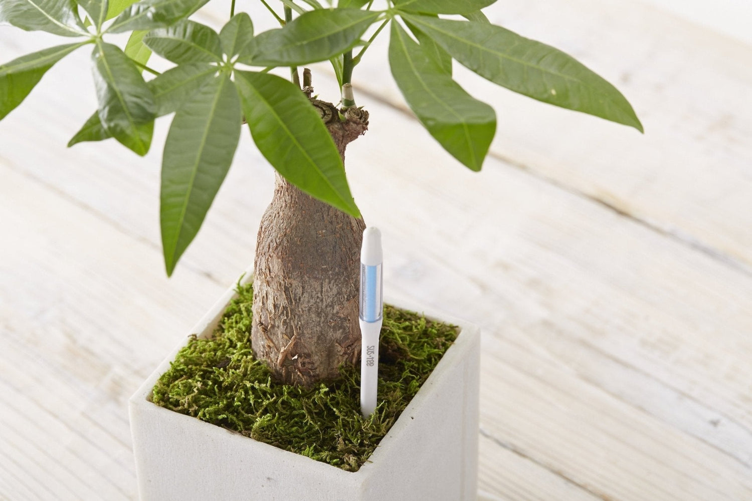 Kukkaruukku - Ecopots - Ruukun kosteustason mittaaja 25cm - Ecopots - Uuden aikakauden kukkaruukku kierrätysmateriaalista