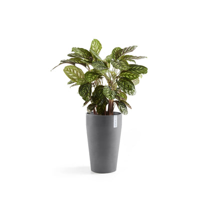Kukkaruukku - Ecopots - Sankara keskikorkea 55cm harmaa - Ecopotskauppa - Uuden aikakauden kukkaruukku