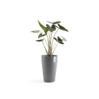 Lillepott Sankara keskmise kõrgusega 55cm hall