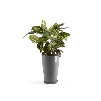 Kukkaruukku - Ecopots - Sankara keskikorkea 55cm harmaa - Ecopotskauppa - Uuden aikakauden kukkaruukku