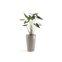 Lillepott Sankara keskmise kõrgusega 55cm taupe