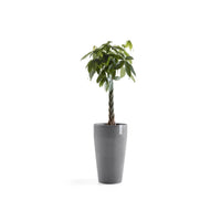 Lillepott Sankara kõrge 75cm hall