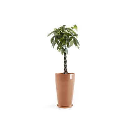 Kukkaruukku - Ecopots - Sankara korkea 75cm terracotta - Ecopotskauppa - Uuden aikakauden kukkaruukku