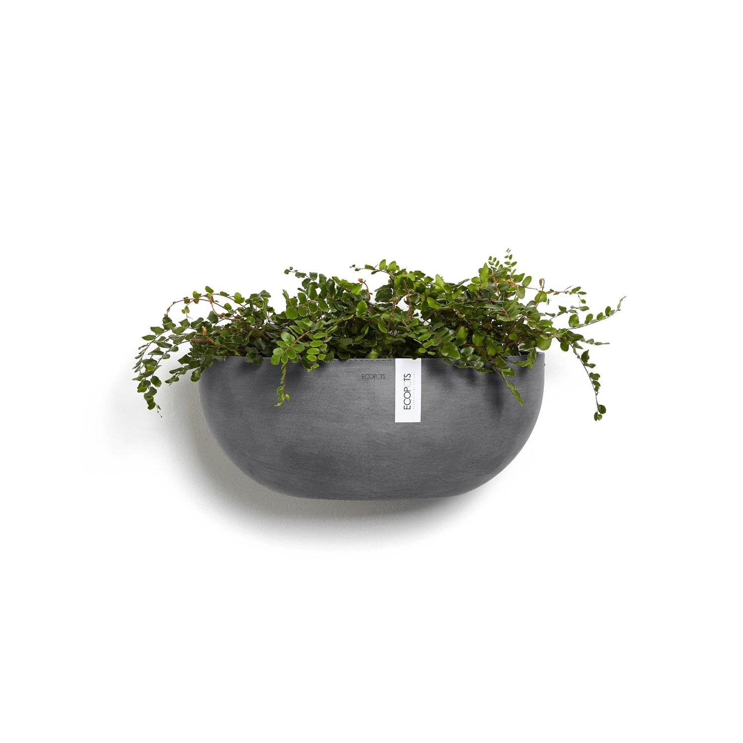 Kukkaruukku - Ecopots - Sofia seinä 43cm harmaa - Ecopotskauppa - Uuden aikakauden kukkaruukku