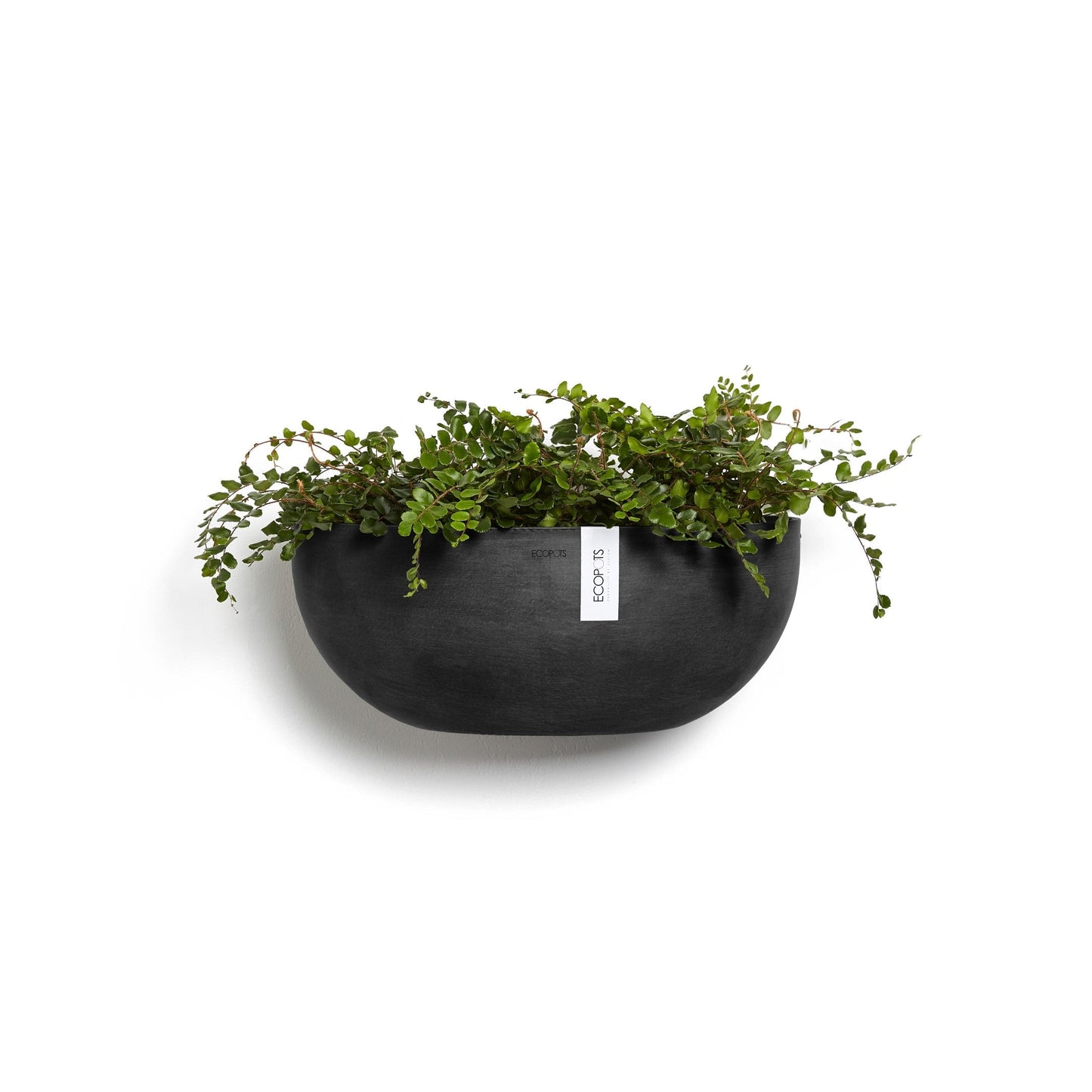 Kukkaruukku - Ecopots - Sofia seinä 43cm tummanharmaa - Ecopotskauppa - Uuden aikakauden kukkaruukku