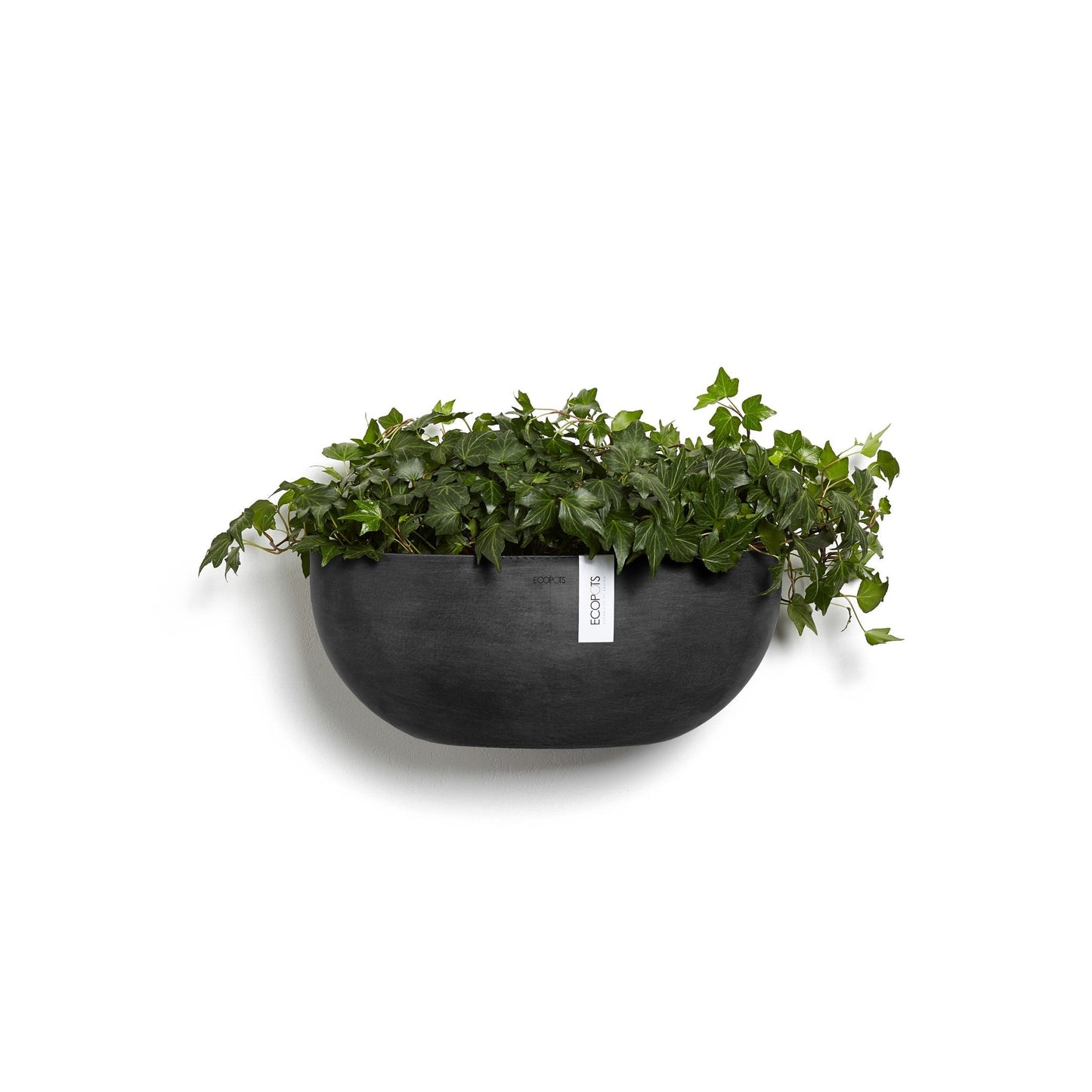 Kukkaruukku - Ecopots - Sofia seinä 43cm tummanharmaa - Ecopotskauppa - Uuden aikakauden kukkaruukku