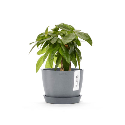 Kukkaruukku - Ecopots - Tukholma 16cm siniharmaa - Ecopotskauppa - Uuden aikakauden kukkaruukku