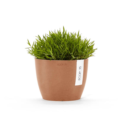 Kukkaruukku - Ecopots - Tukholma 16cm terracotta - Ecopotskauppa - Uuden aikakauden kukkaruukku