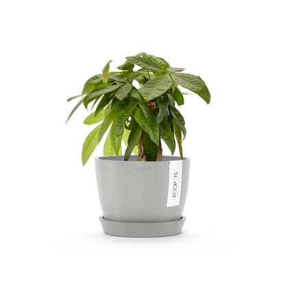 Kukkaruukku - Ecopots - Tukholma 16cm valkoharmaa - Ecopotskauppa - Uuden aikakauden kukkaruukku
