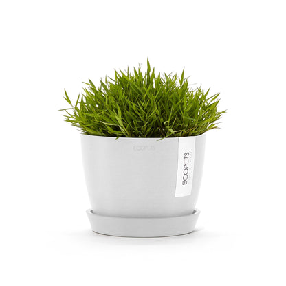 Kukkaruukku - Ecopots - Tukholma 16cm valkoinen - Ecopotskauppa - Uuden aikakauden kukkaruukku