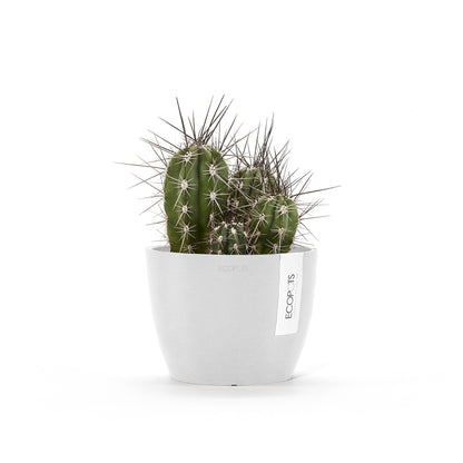 Kukkaruukku - Ecopots - Tukholma 16cm valkoinen - Ecopotskauppa - Uuden aikakauden kukkaruukku