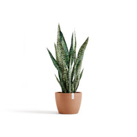 Lillepott Tukholma 24cm terrakota