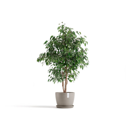 Kukkaruukku - Ecopots - Tukholma 31cm taupe - Ecopotskauppa - Uuden aikakauden kukkaruukku