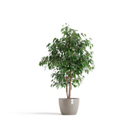 Lillepott Tukholma 31cm taupe