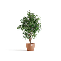 Lillepott Tukholma 31cm terrakota