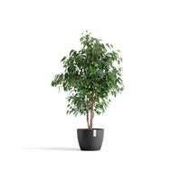 Lillepott Tukholma 31cm tumehall