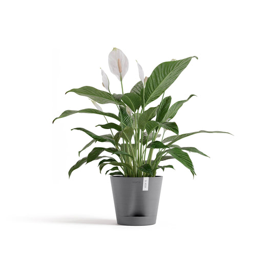 Kukkaruukku - Ecopots - Venetsia 2.0 20cm harmaa - Ecopotskauppa - Uuden aikakauden kukkaruukku