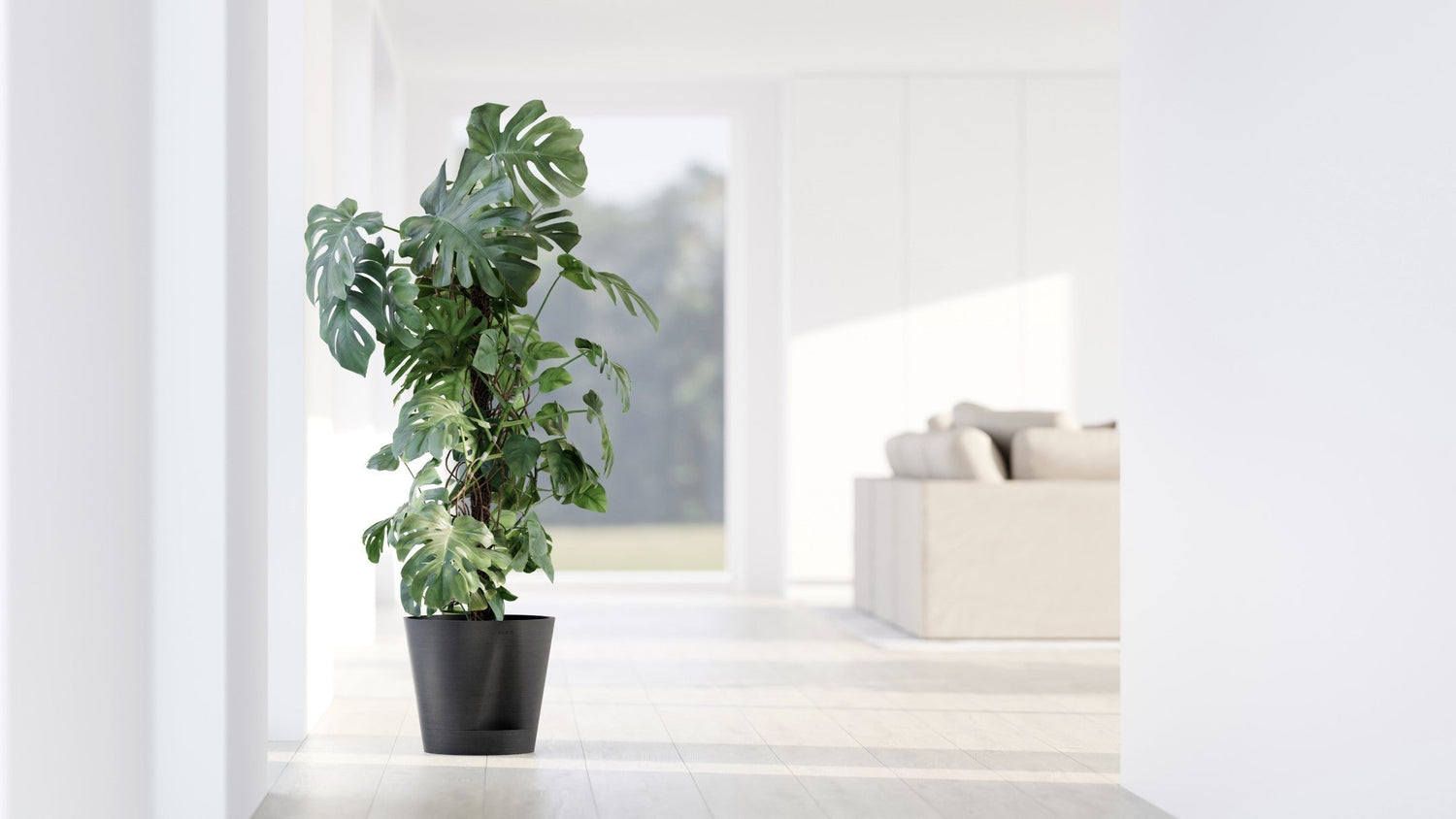 Kukkaruukku - Ecopots - Venetsia 2.0 20cm tummanharmaa - Ecopotskauppa - Uuden aikakauden kukkaruukku