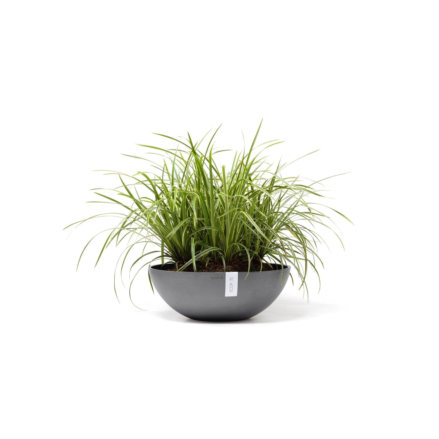 Kukkaruukku - Ecopots - Vienna 50cm harmaa - Ecopotskauppa - Uuden aikakauden kukkaruukku
