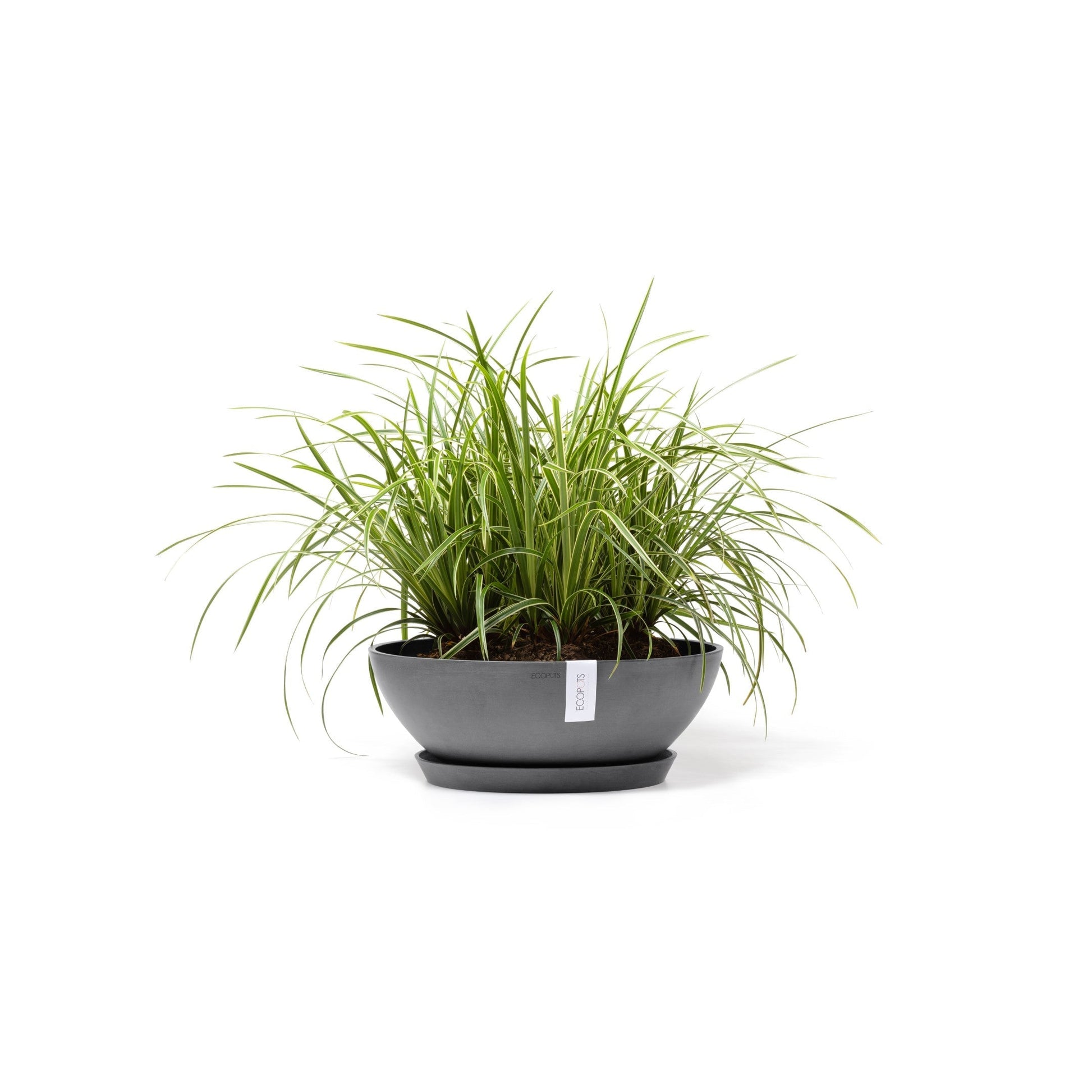 Kukkaruukku - Ecopots - Vienna 50cm harmaa - Ecopotskauppa - Uuden aikakauden kukkaruukku