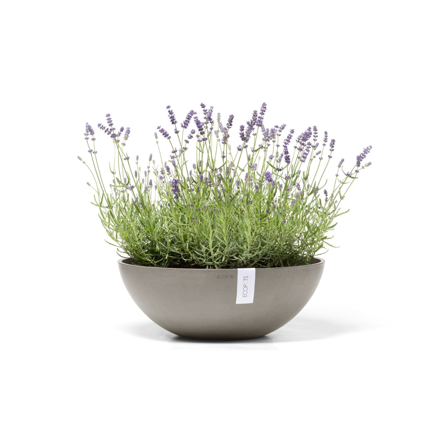 Kukkaruukku - Ecopots - Vienna 50cm taupe - Ecopotskauppa - Uuden aikakauden kukkaruukku