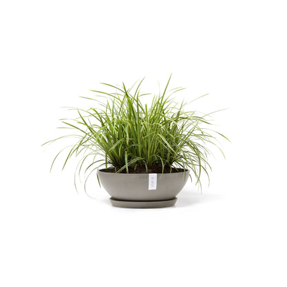 Kukkaruukku - Ecopots - Vienna 50cm taupe - Ecopotskauppa - Uuden aikakauden kukkaruukku